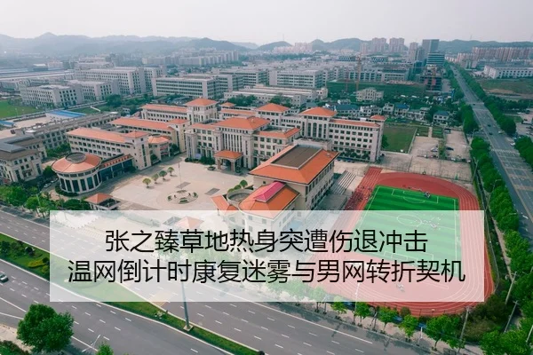 张之臻草地热身突遭伤退冲击 温网倒计时康复迷雾与男网转折契机